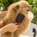 Cepillo Spa para Perros y Gatos